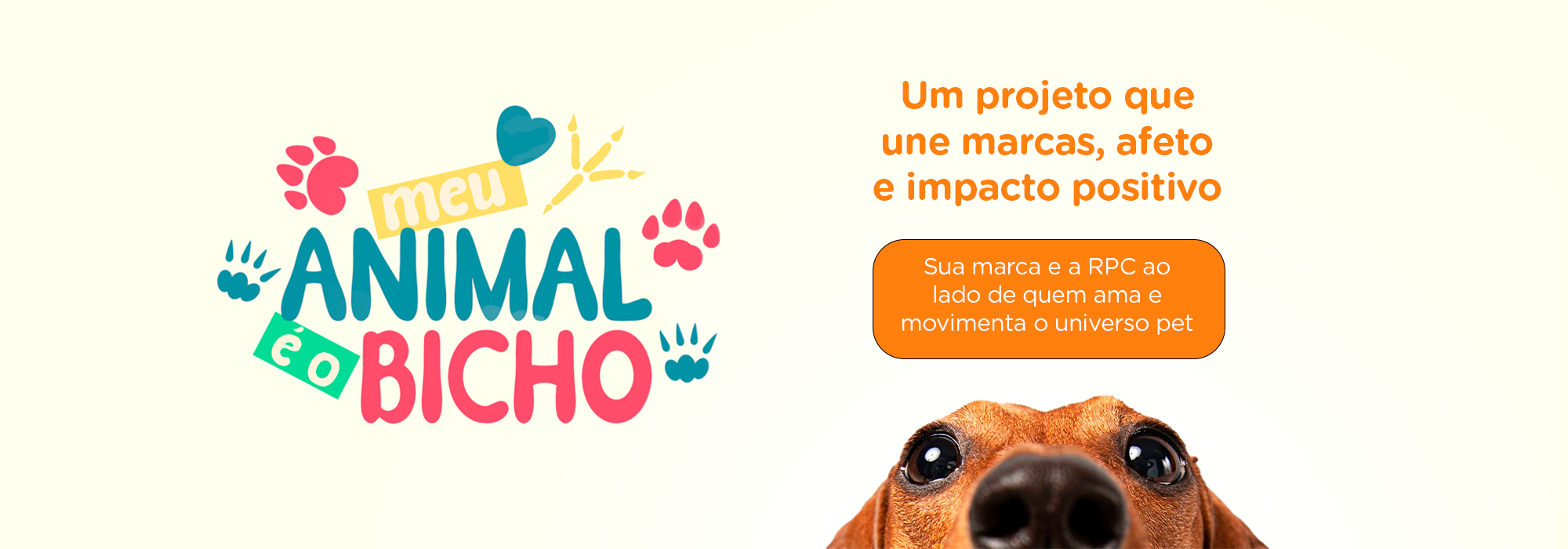 O seu navegador não suporta a reprodução de vídeo. Imagem alternativa.